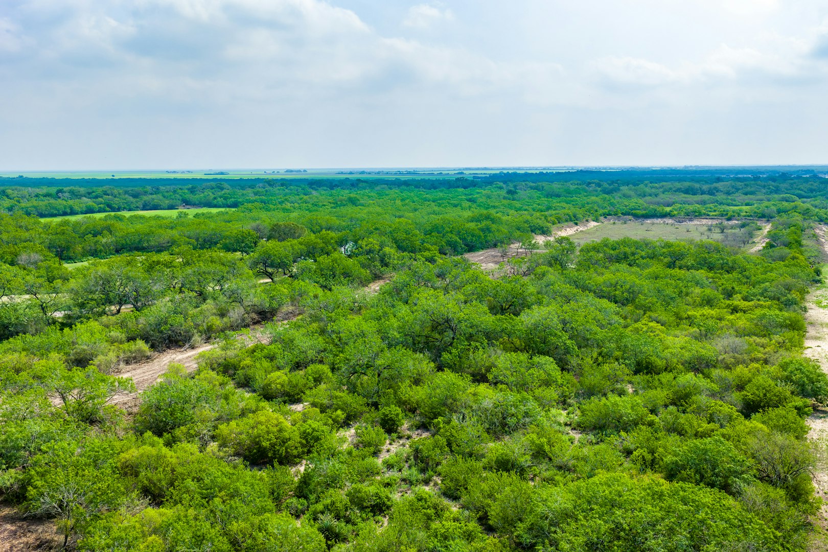 0123 N Highway 281 Alice TX 78332