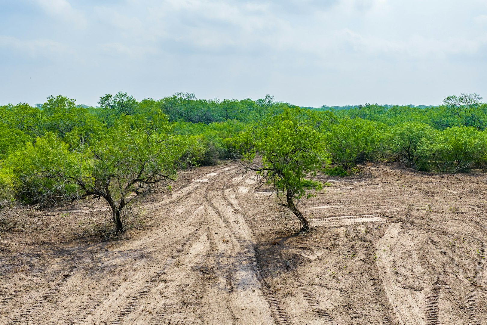 0123 N Highway 281 Alice TX 78332