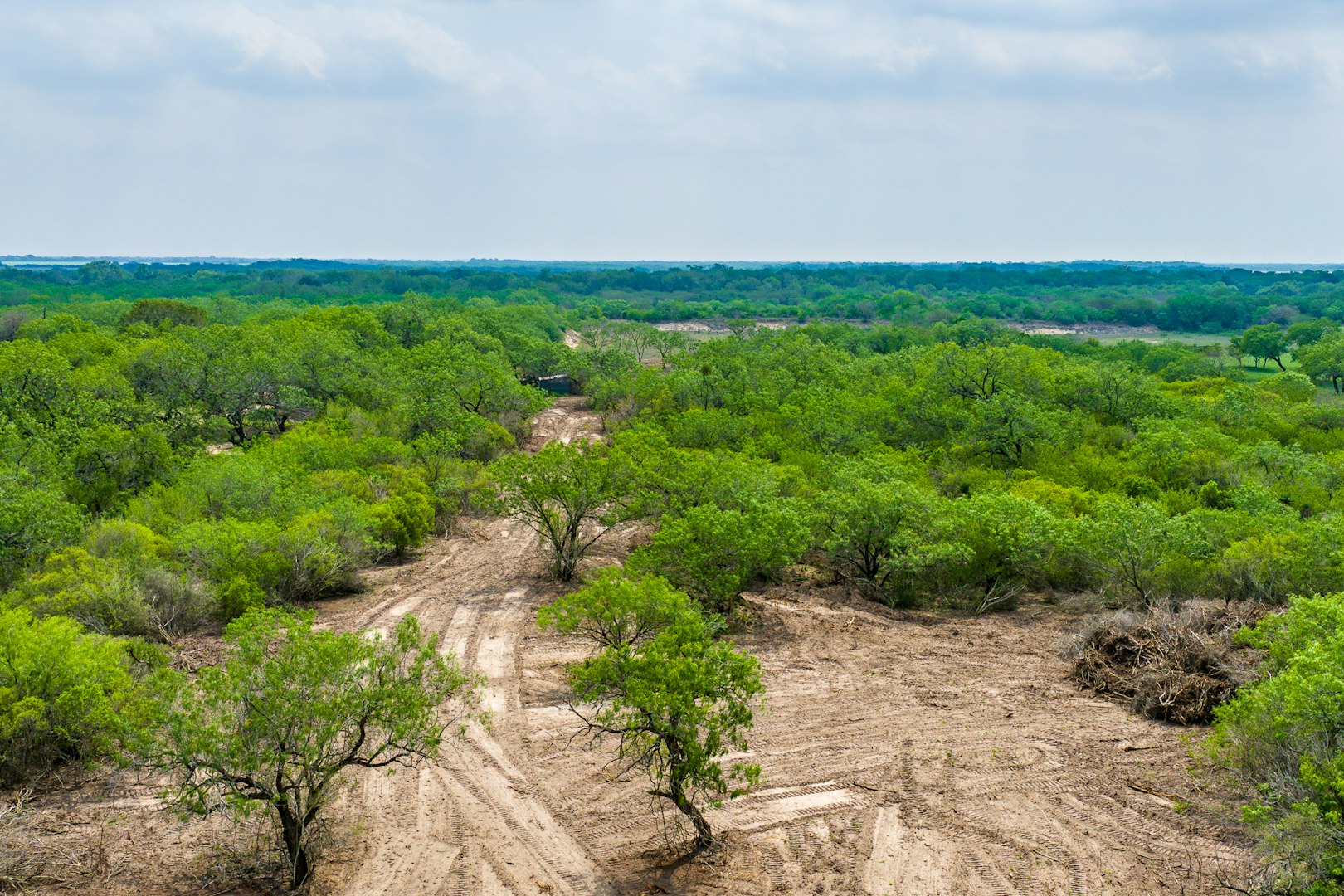 0123 N Highway 281 Alice TX 78332