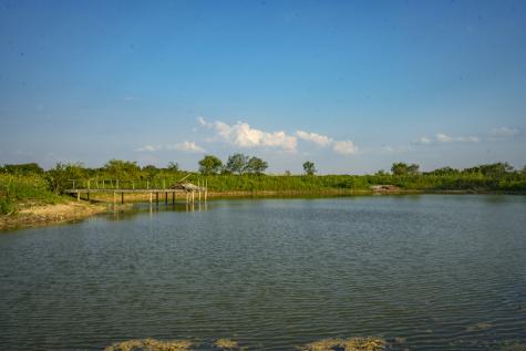 1630 County Road 226 Gatesville TX 76528