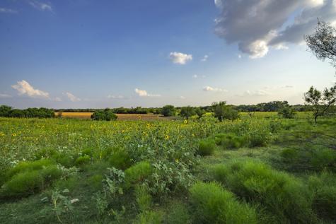 1630 County Road 226 Gatesville TX 76528