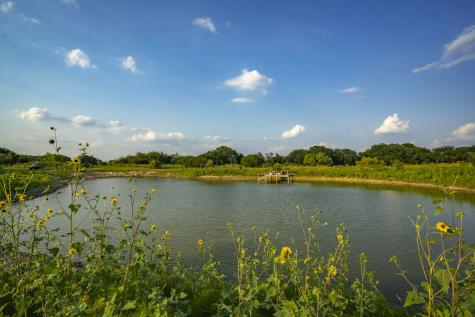 1630 County Road 226 Gatesville TX 76528