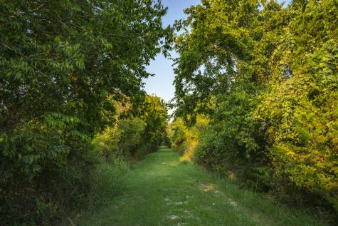 1630 County Road 226 Gatesville TX 76528