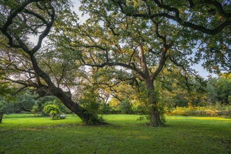 1630 County Road 226 Gatesville TX 76528