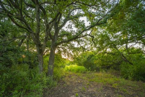 1630 County Road 226 Gatesville TX 76528