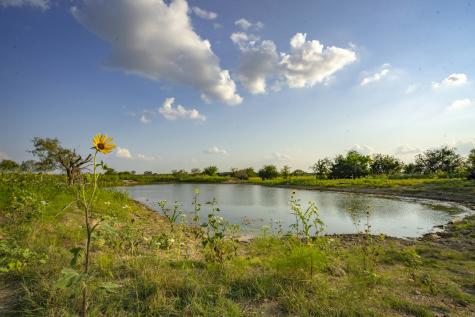 1630 County Road 226 Gatesville TX 76528