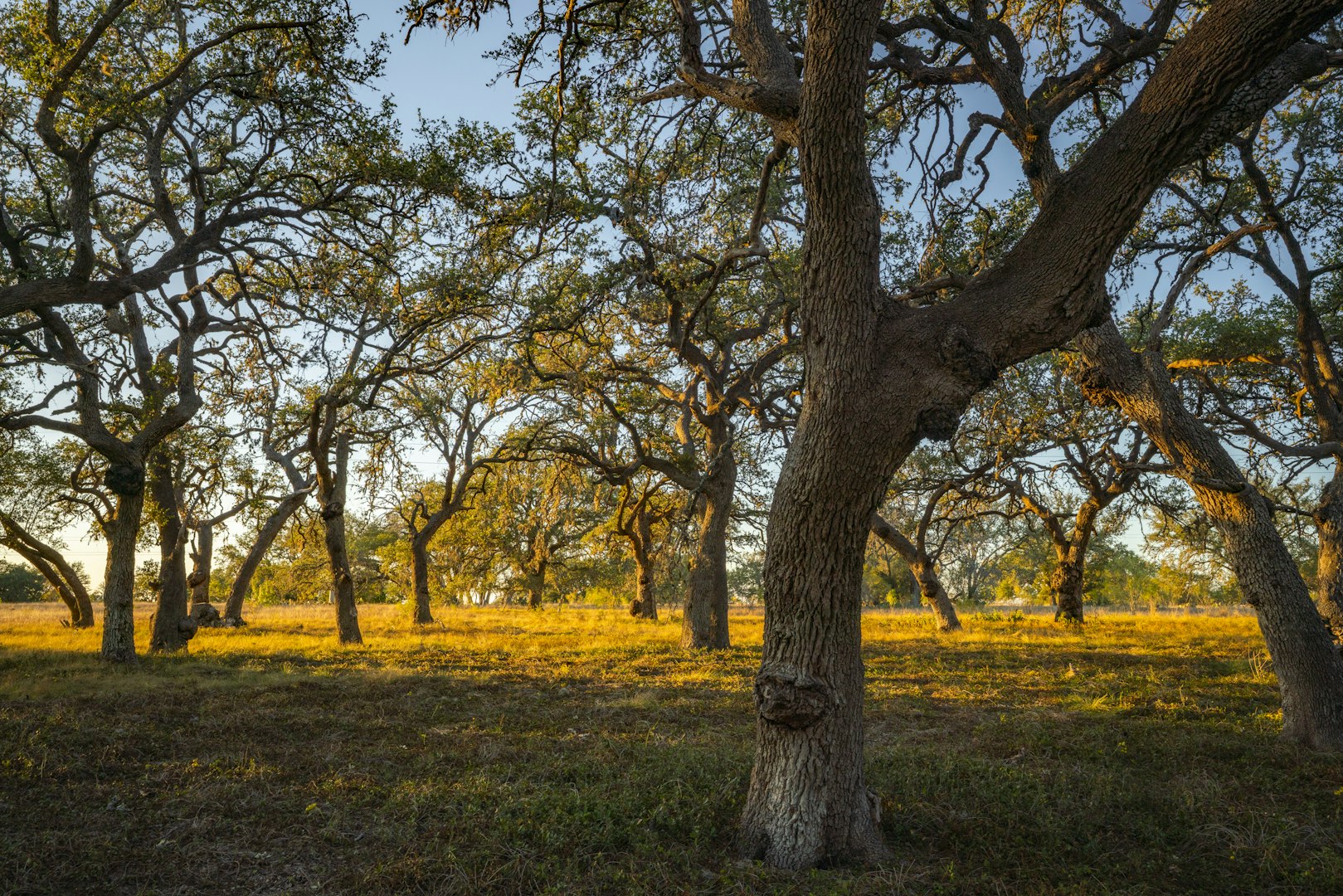 Bandera TX, 740 Optimist Way