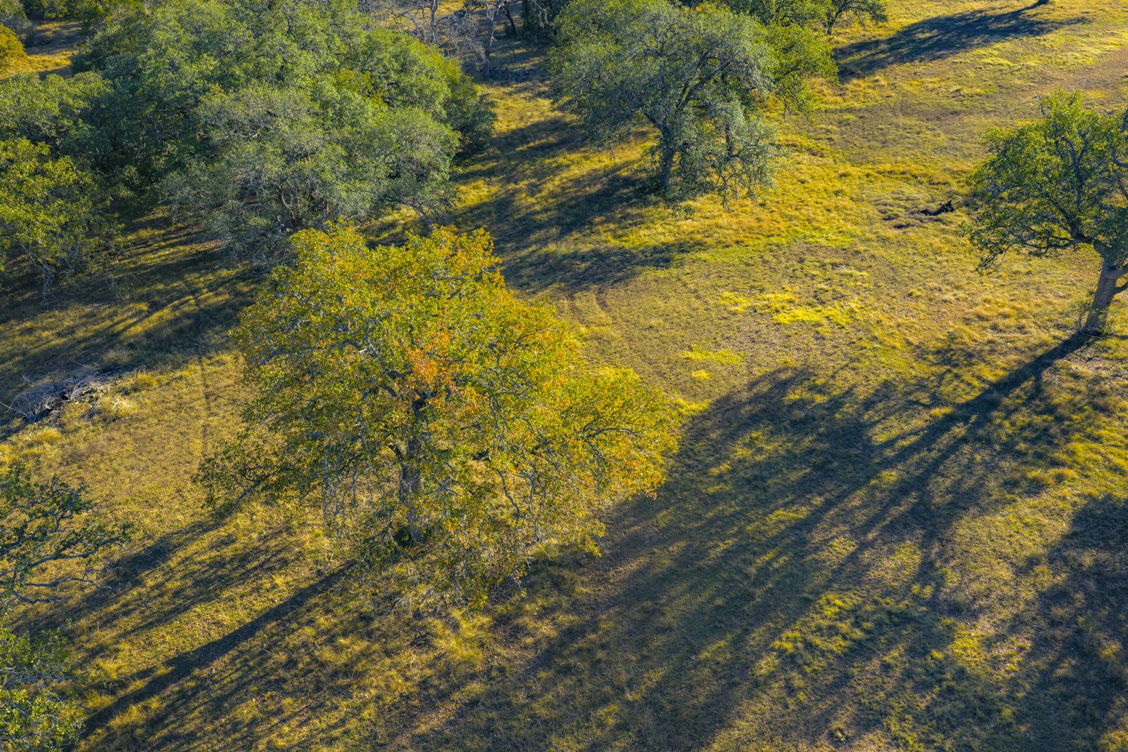 740 Optimist Way Bandera TX 78003