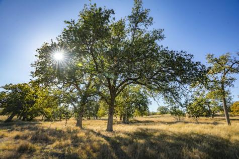 740 Optimist Way Bandera TX 78003