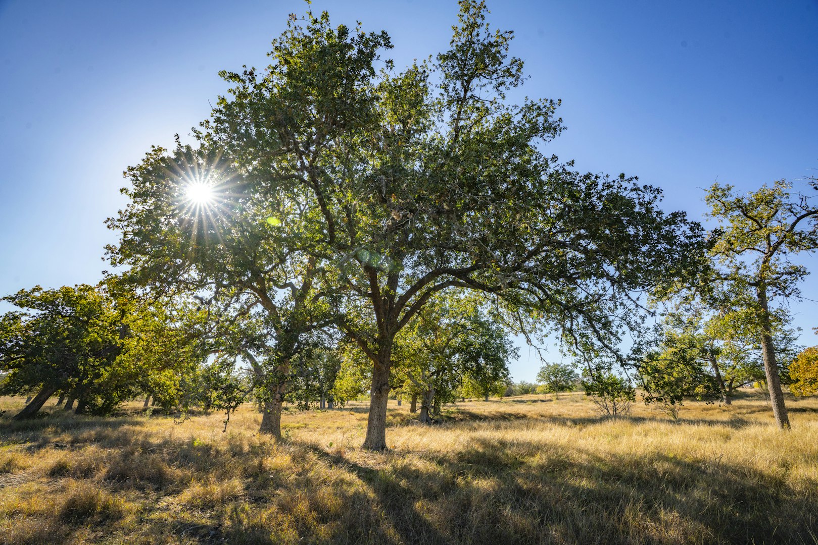 740 Optimist Way Bandera TX 78003