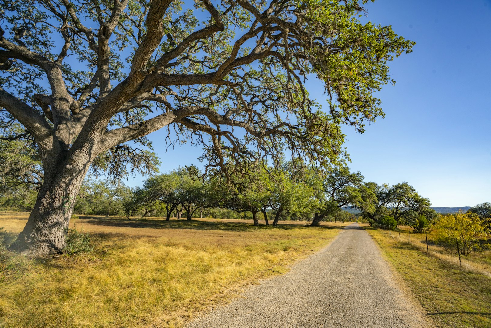 740 Optimist Way Bandera TX 78003