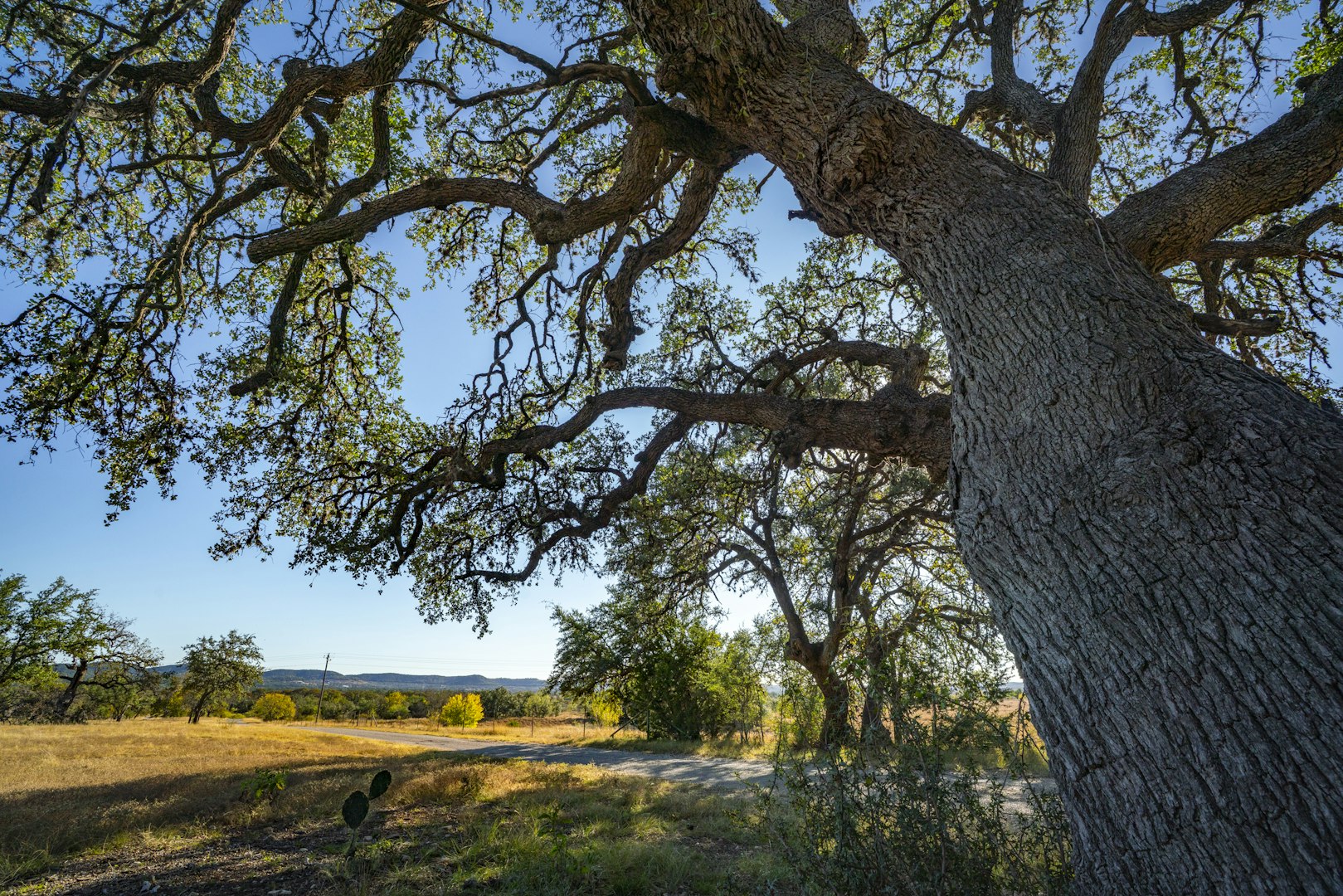 740 Optimist Way Bandera TX 78003