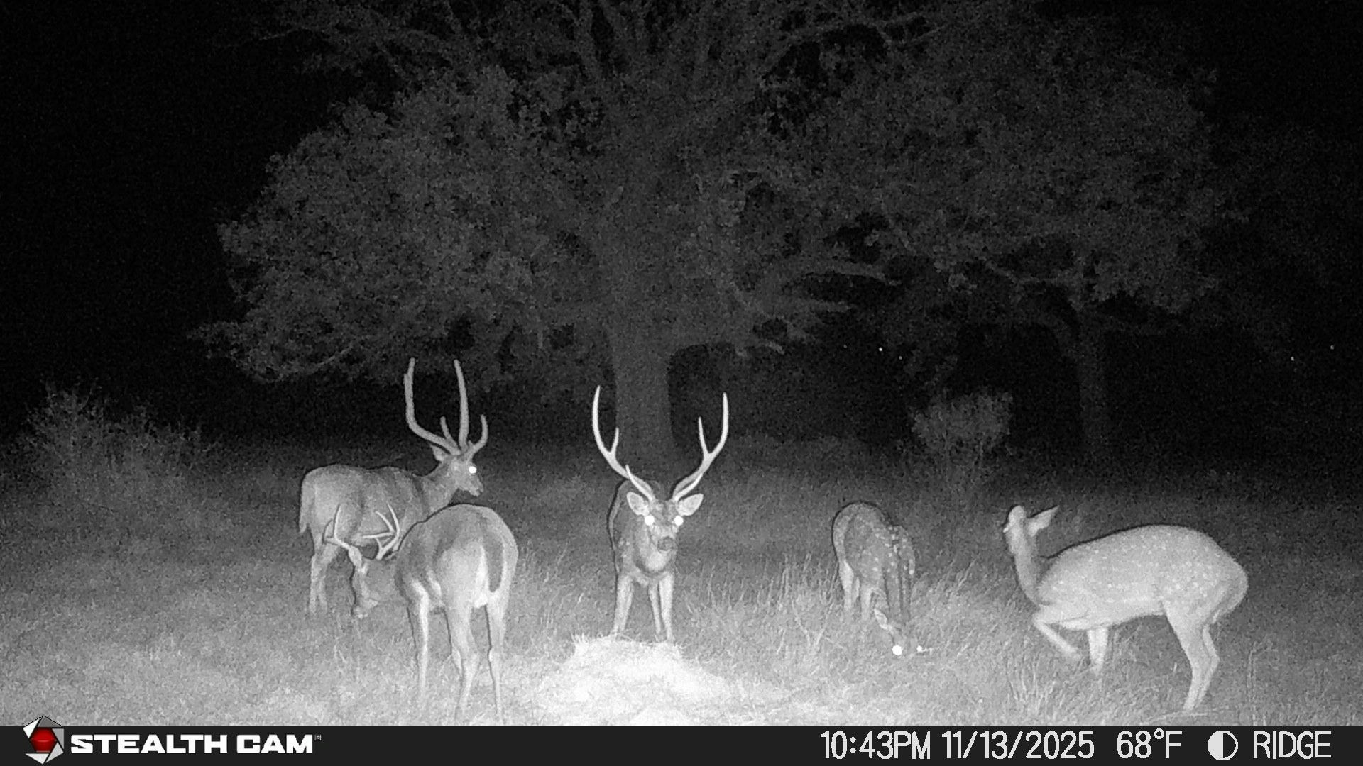 740 Optimist Way Bandera TX 78003