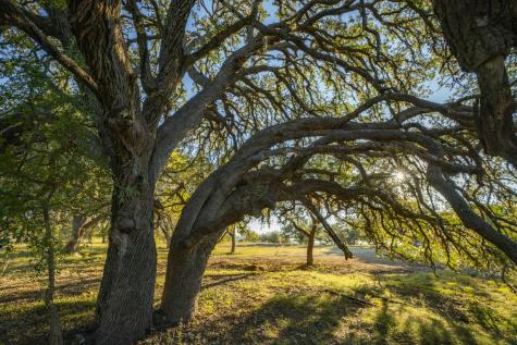 740 Optimist Way Bandera TX 78003