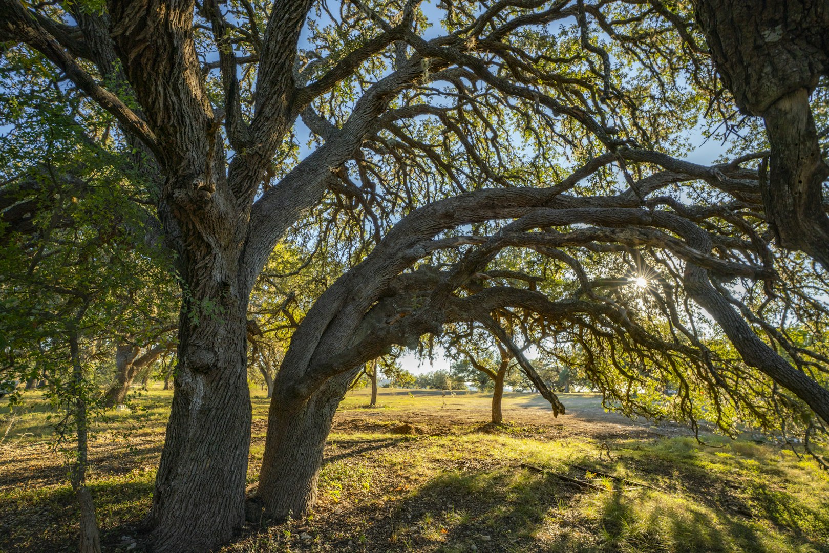 740 Optimist Way Bandera TX 78003