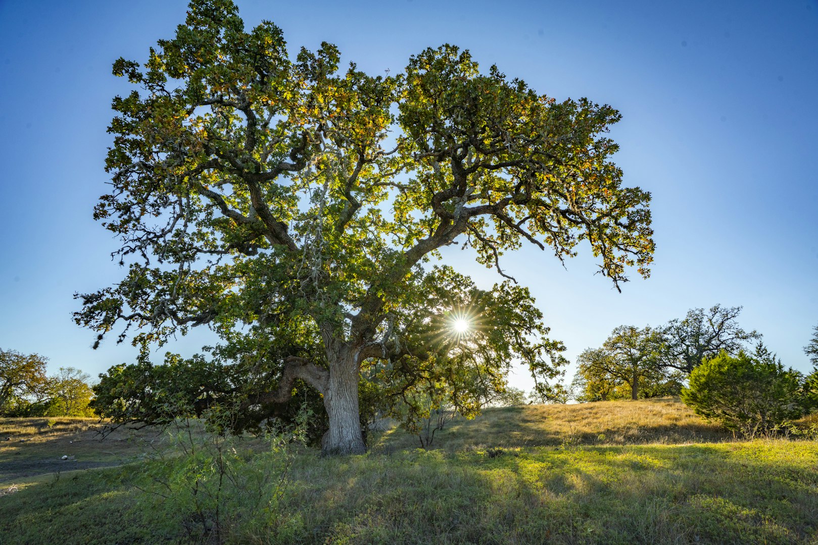 740 Optimist Way Bandera TX 78003