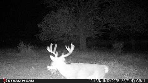 740 Optimist Way Bandera TX 78003