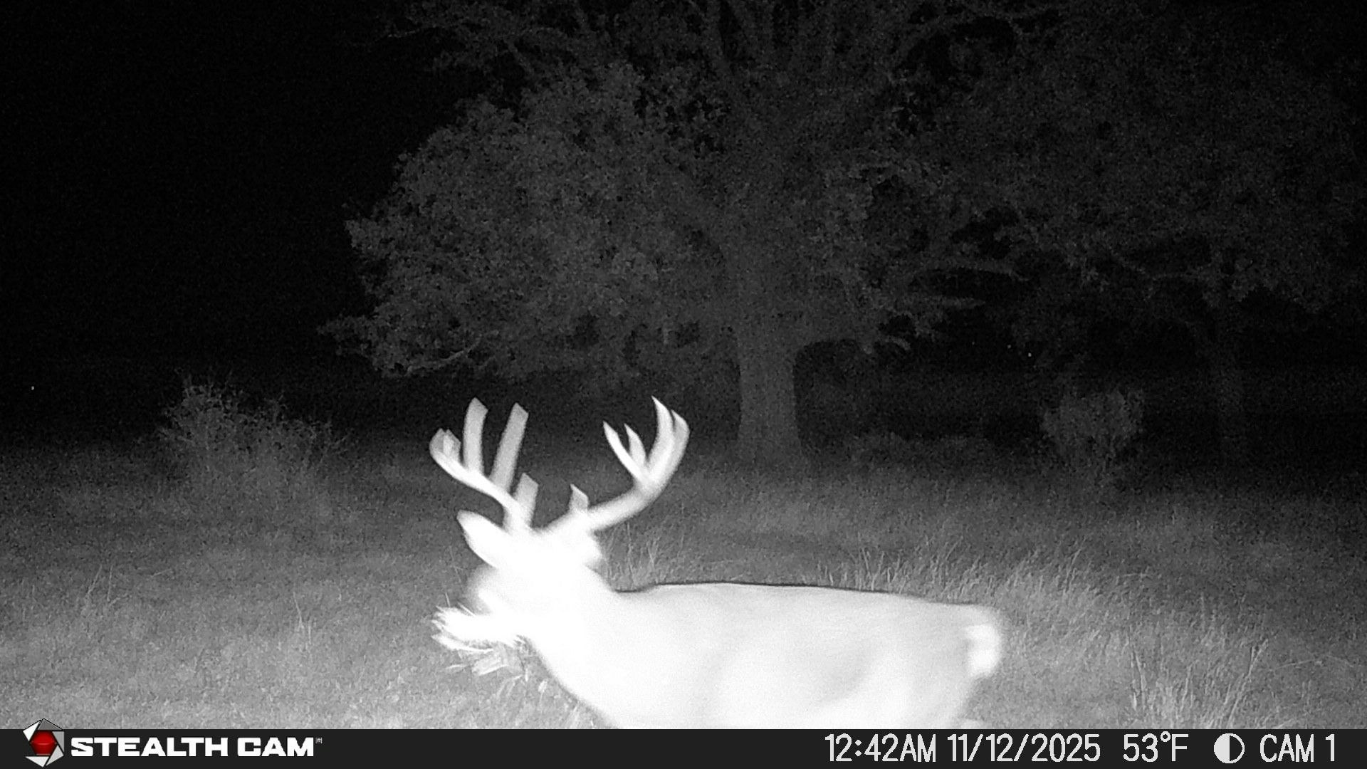 740 Optimist Way Bandera TX 78003