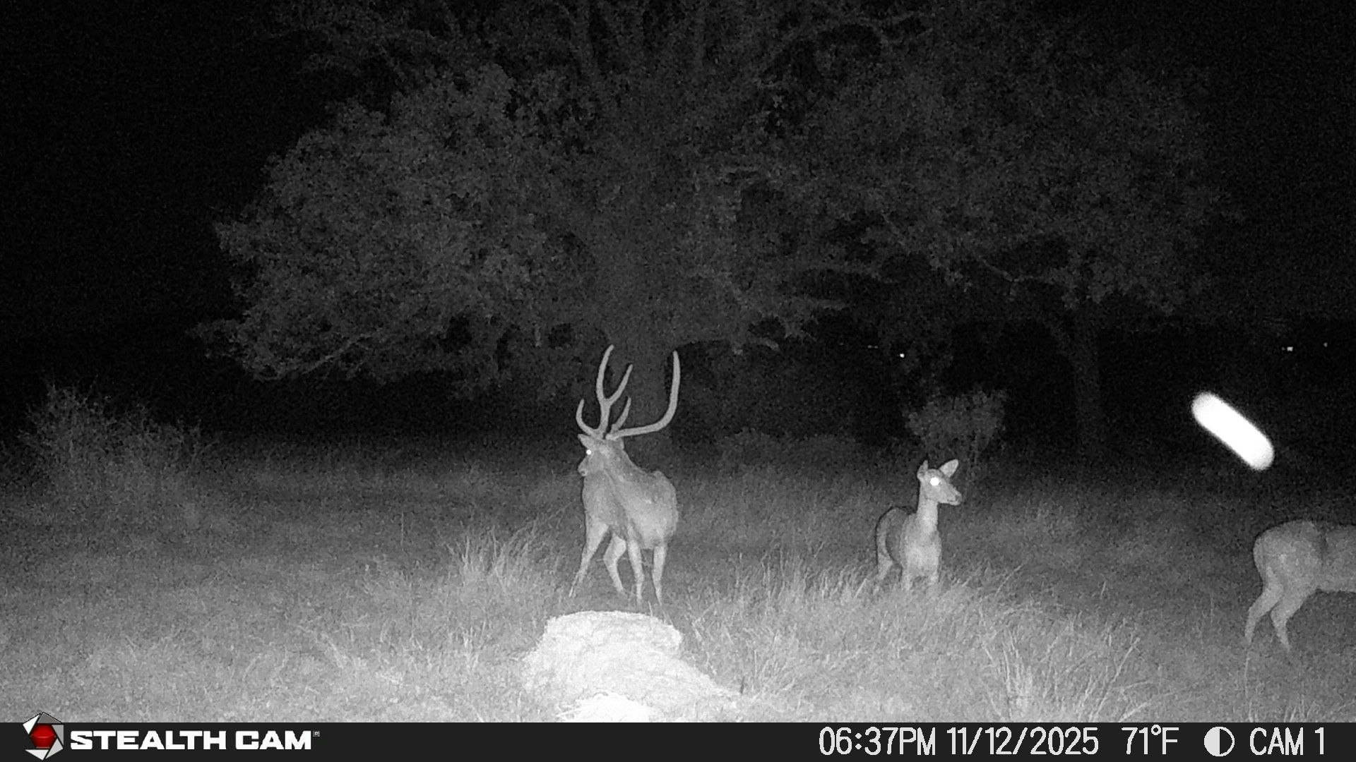 740 Optimist Way Bandera TX 78003