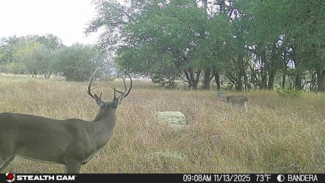 740 Optimist Way Bandera TX 78003