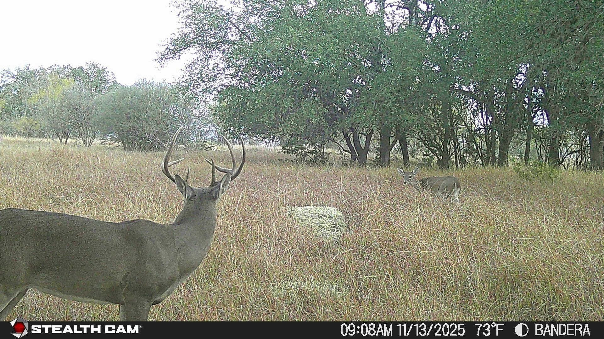 740 Optimist Way Bandera TX 78003