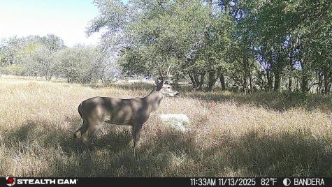 740 Optimist Way Bandera TX 78003