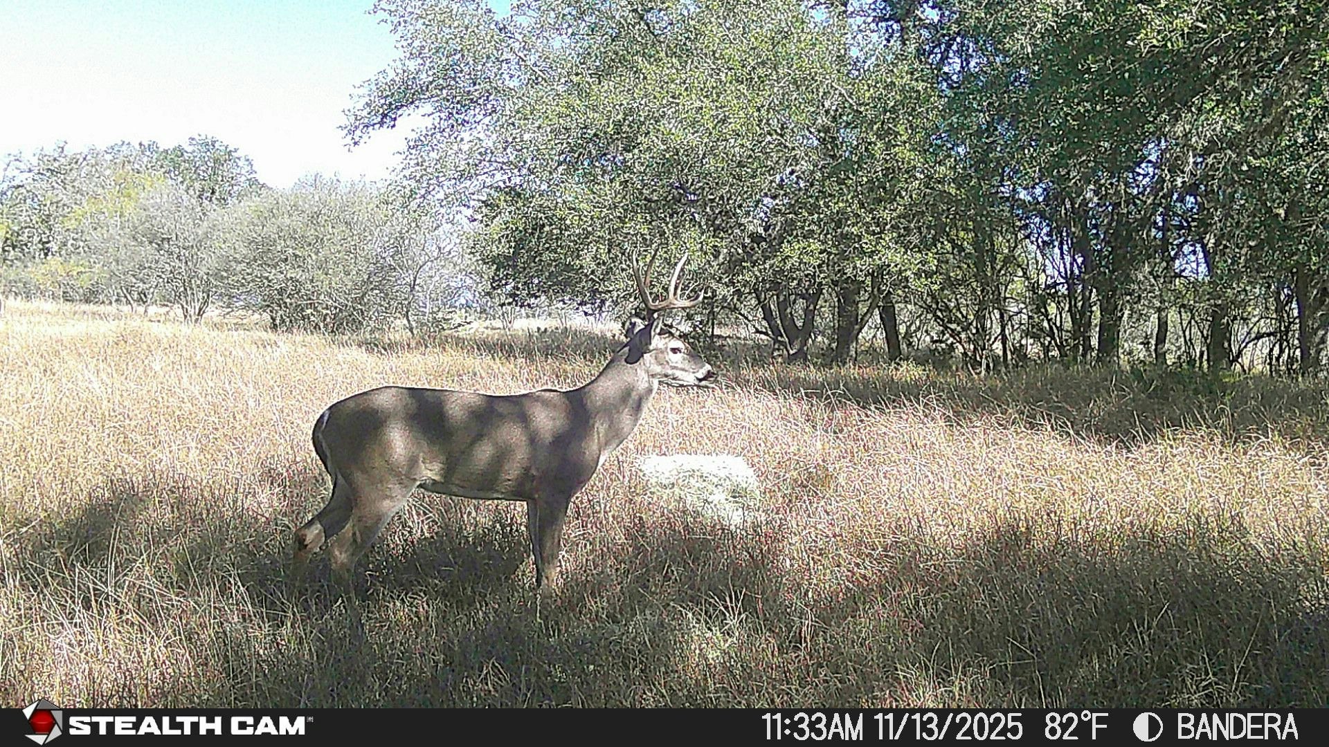 740 Optimist Way Bandera TX 78003