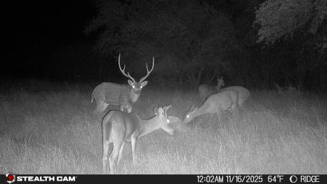 740 Optimist Way Bandera TX 78003