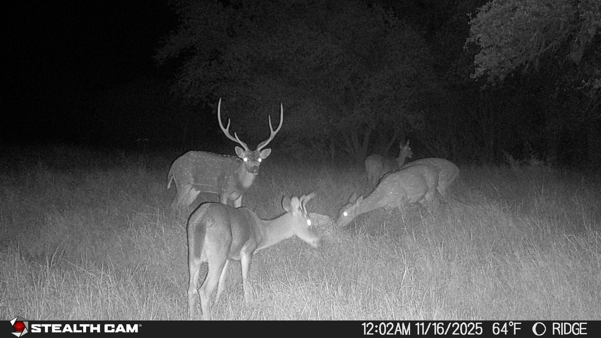 740 Optimist Way Bandera TX 78003