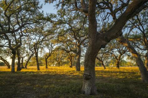 740 Optimist Way Bandera TX 78003