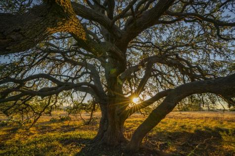 740 Optimist Way Bandera TX 78003