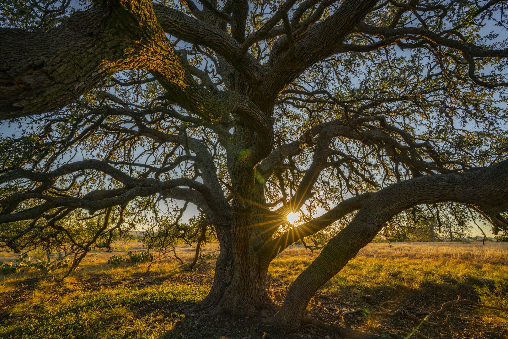 740 Optimist Way Bandera TX 78003