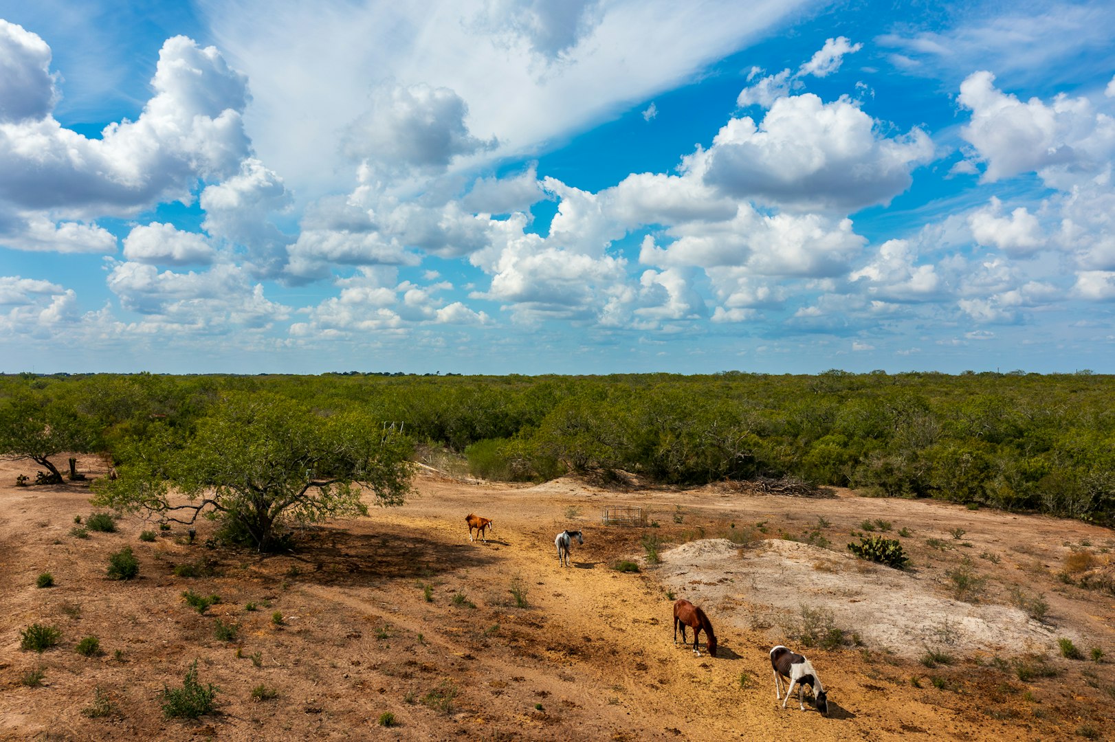 947 County Road 302 Sandia TX 78383