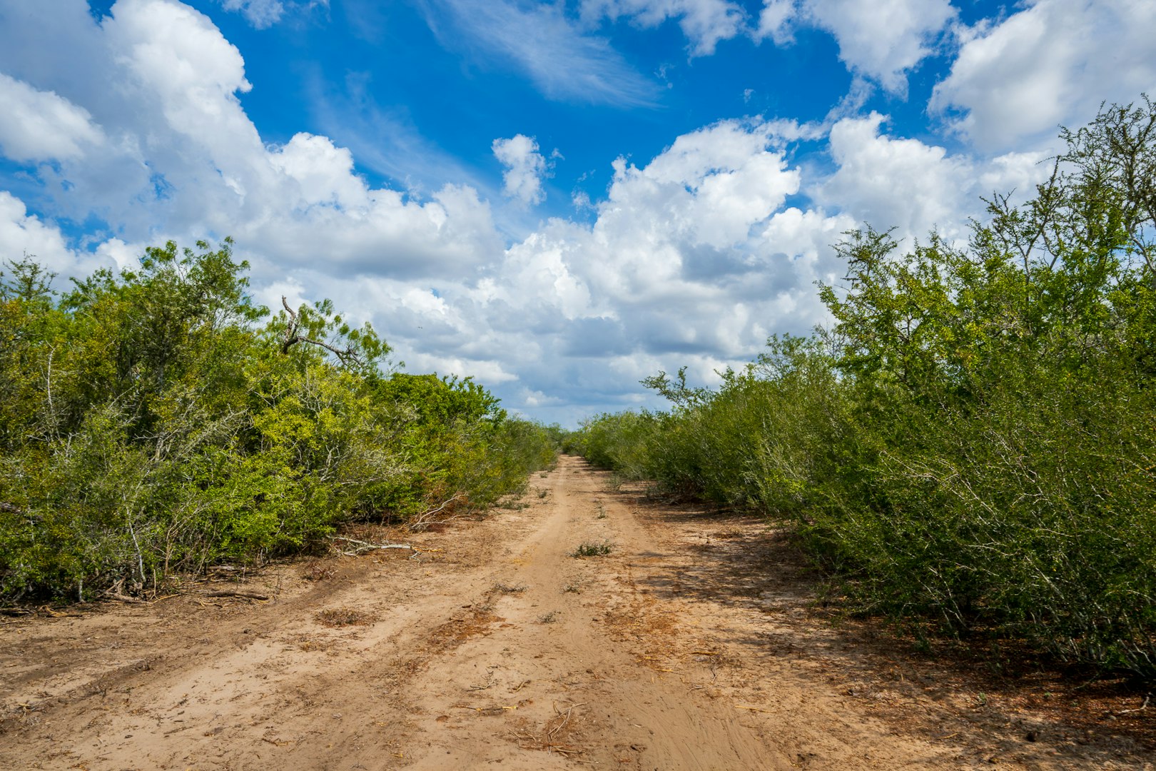 947 County Road 302 Sandia TX 78383