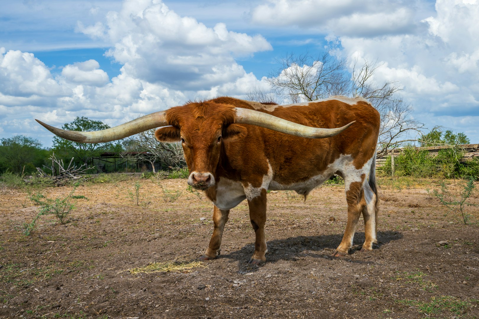 947 County Road 302 Sandia TX 78383