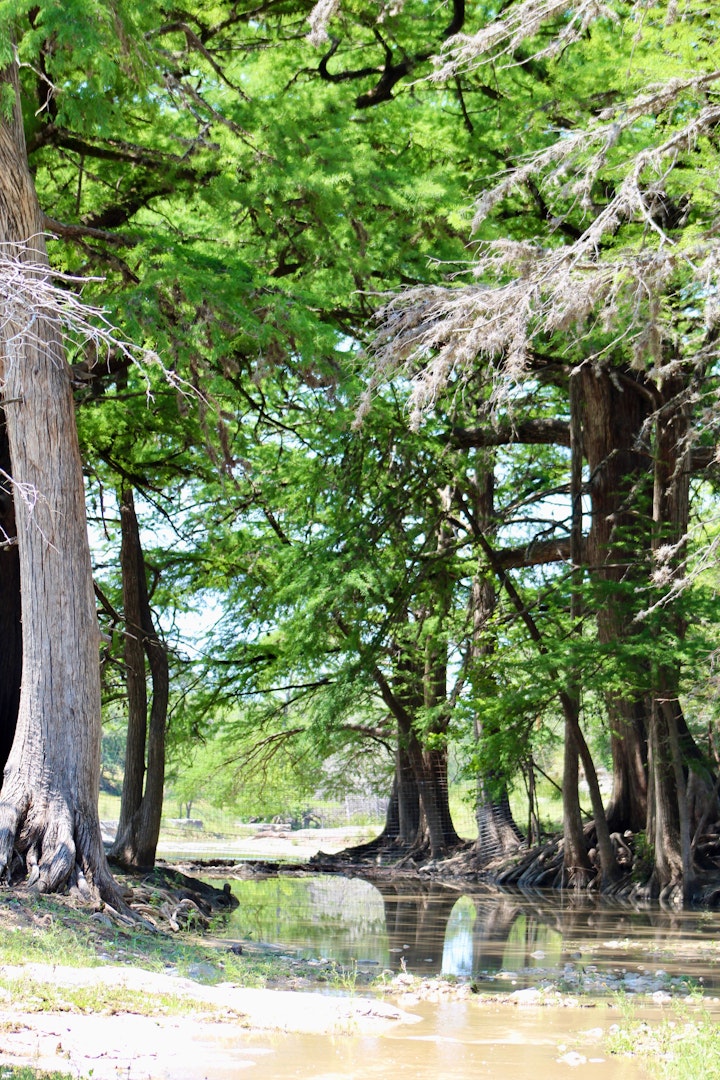 Boerne TX, 149 Bloodhound Trail