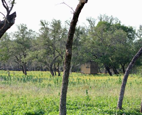 149 Bloodhound Trail Boerne TX 78006