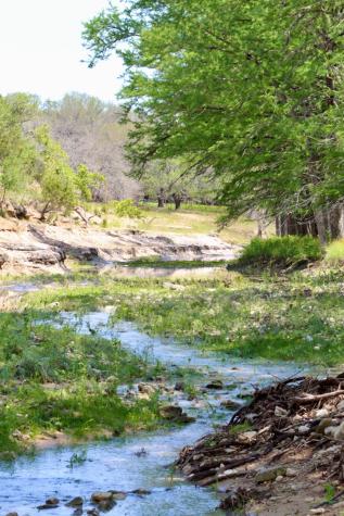 149 Bloodhound Trail Boerne TX 78006