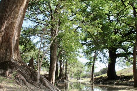 149 Bloodhound Trail Boerne TX 78006