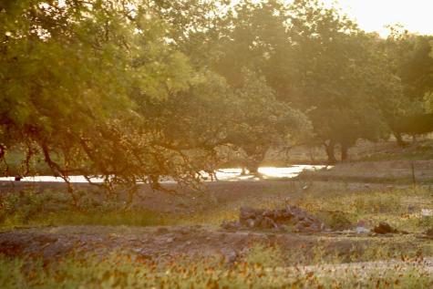 149 Bloodhound Trail Boerne TX 78006