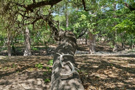 149 Bloodhound Trail Boerne TX 78006