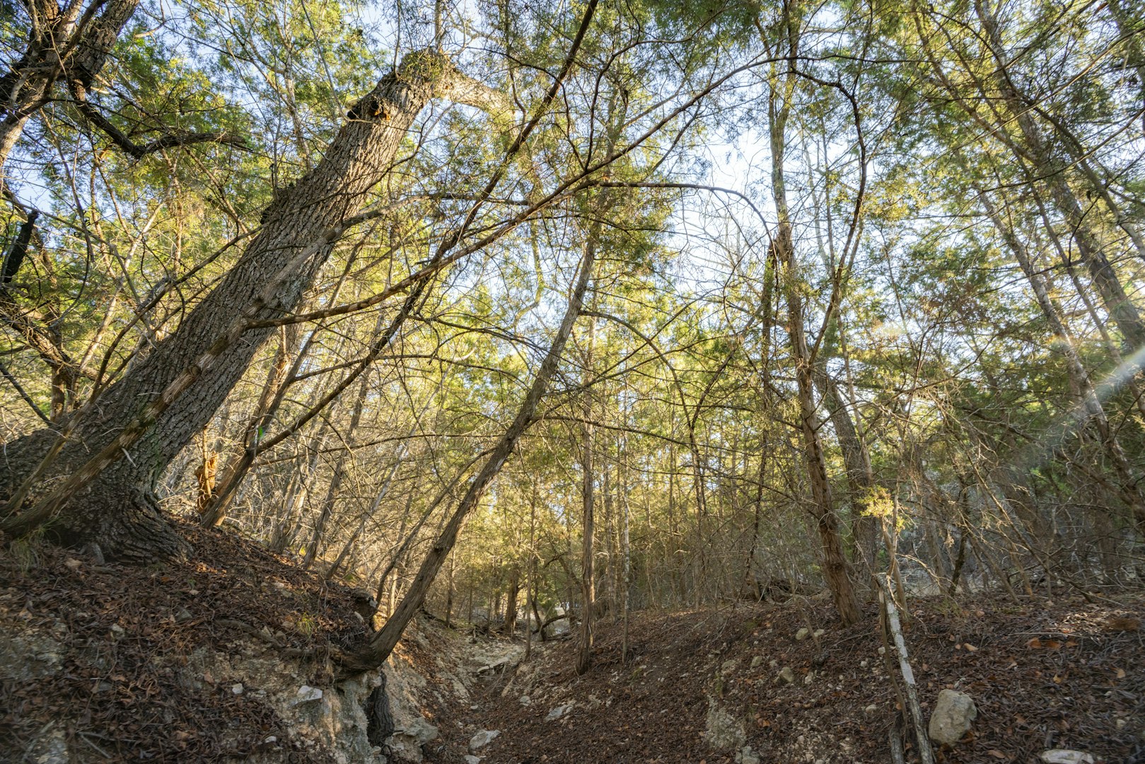 0000 Tbd - Floyd Van Hoozer Road West Kerrville TX 78028