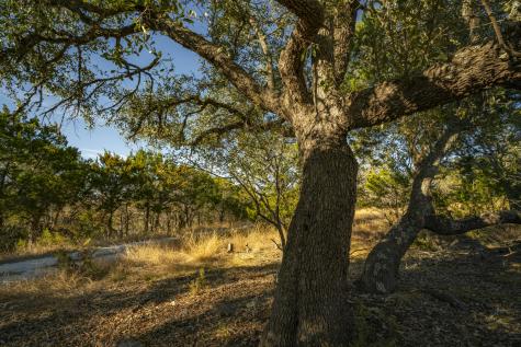0000 Tbd - Floyd Van Hoozer Road West Kerrville TX 78028