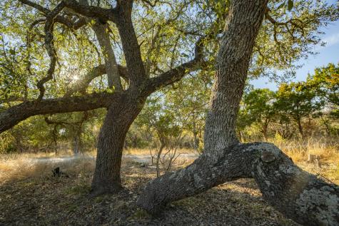 0000 Tbd - Floyd Van Hoozer Road West Kerrville TX 78028
