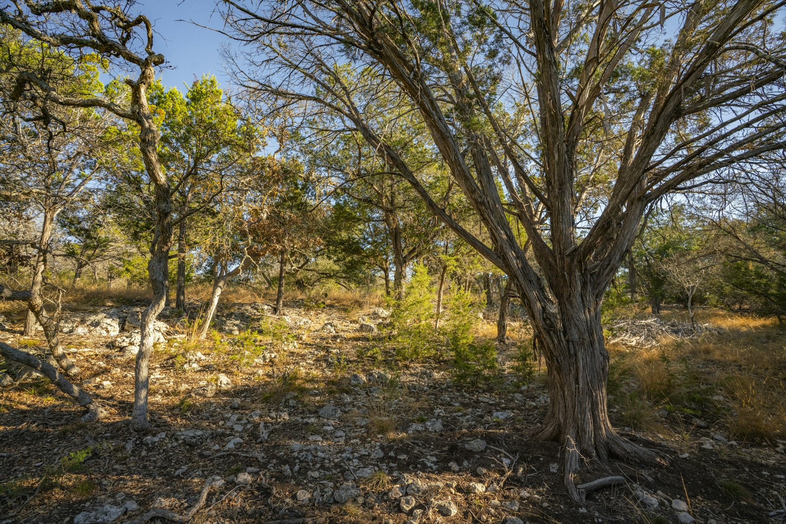 0000 Tbd - Floyd Van Hoozer Road West Kerrville TX 78028