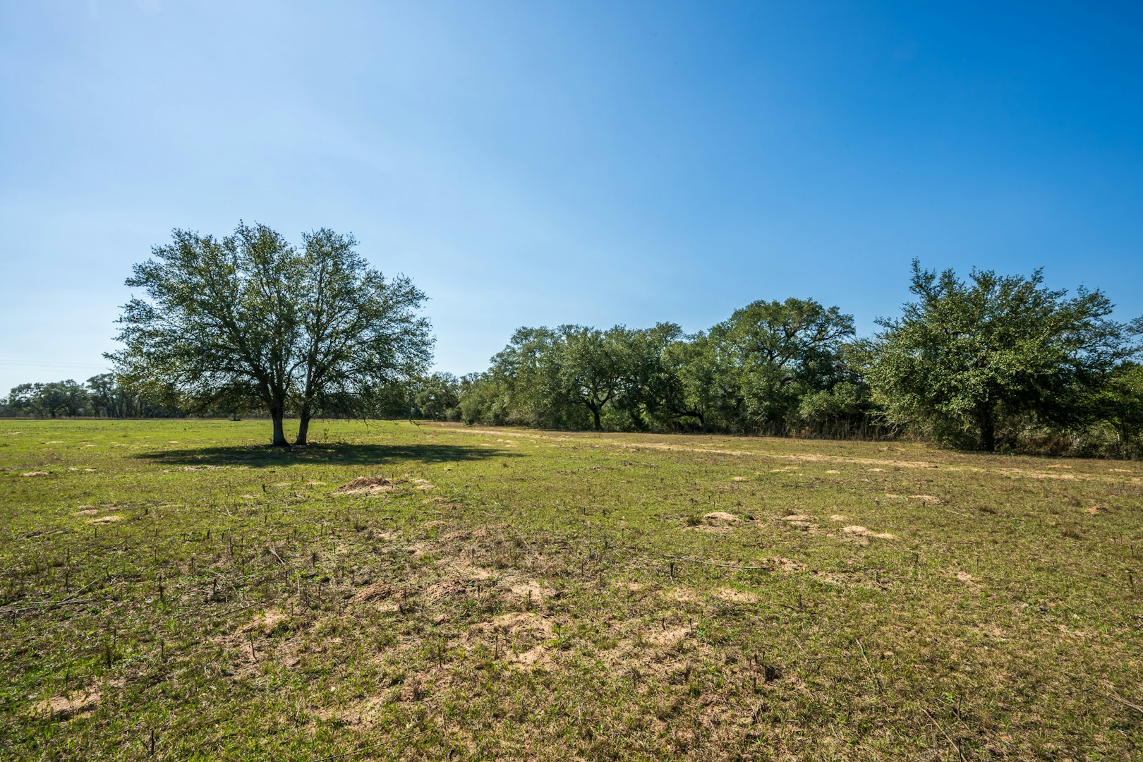 16297b Tx- 111 Yoakum TX 77995