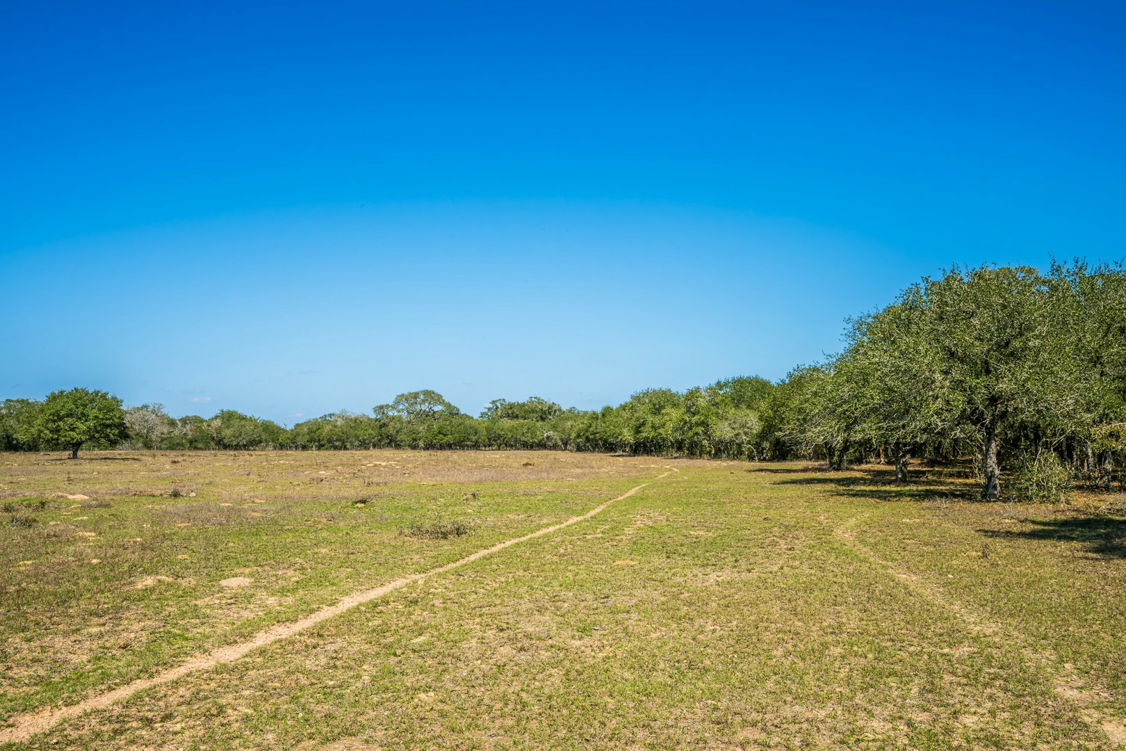 16297b Tx- 111 Yoakum TX 77995