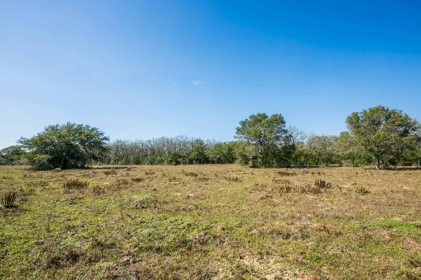 16297b Tx- 111 Yoakum TX 77995