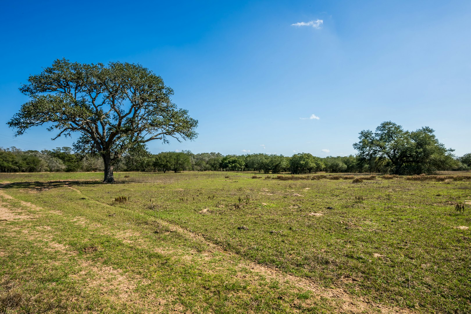 16297b Tx- 111 Yoakum TX 77995