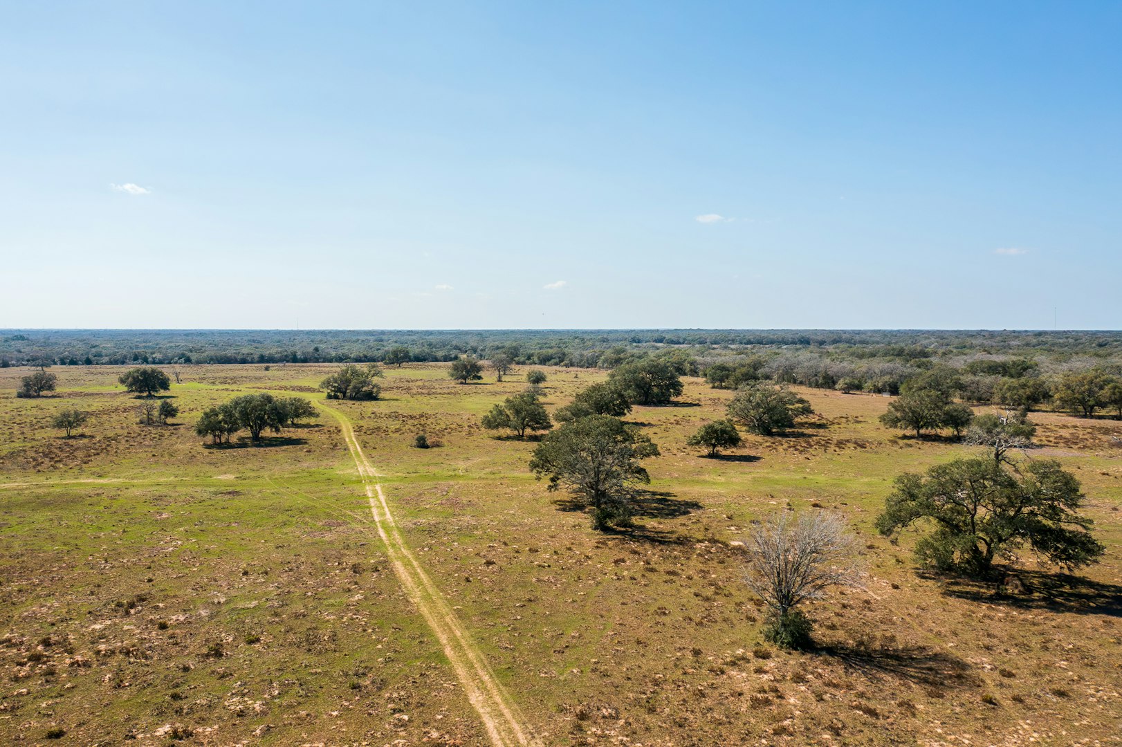 16297b Tx- 111 Yoakum TX 77995